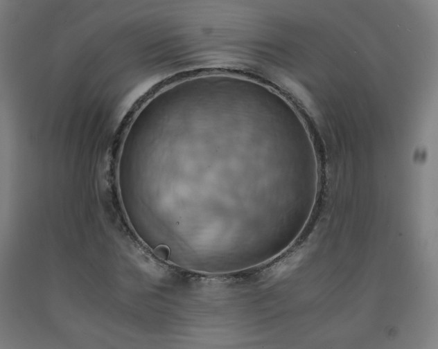 X0000093240875200709261706
