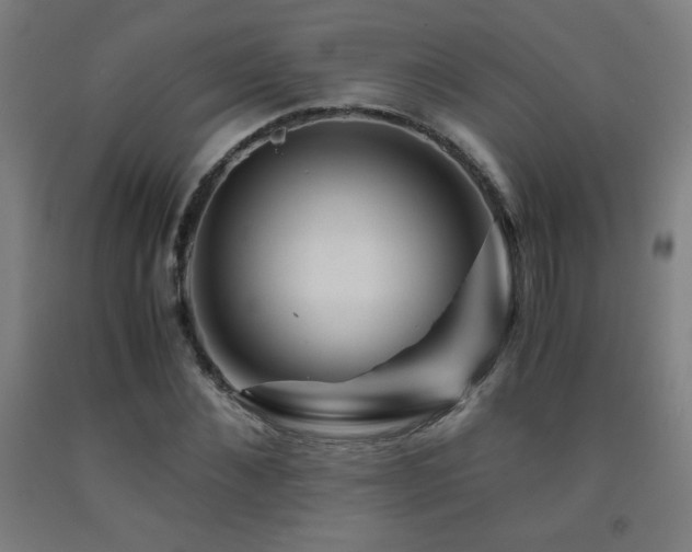 X0000093240876200709261706