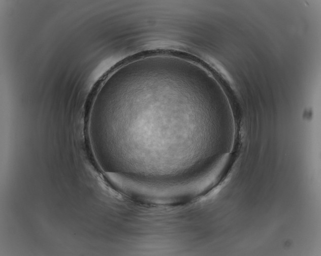 X0000093240877200709261706