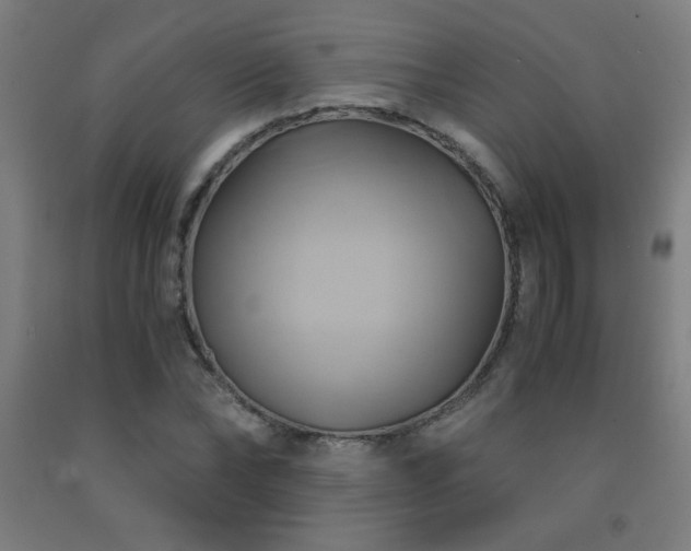 X0000093240878200709261706
