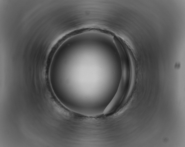X0000093240880200709261706