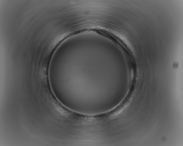 X0000093240881200709261706