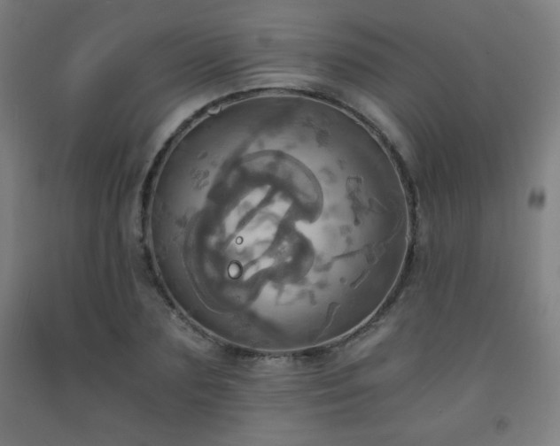 X0000093240883200709261706