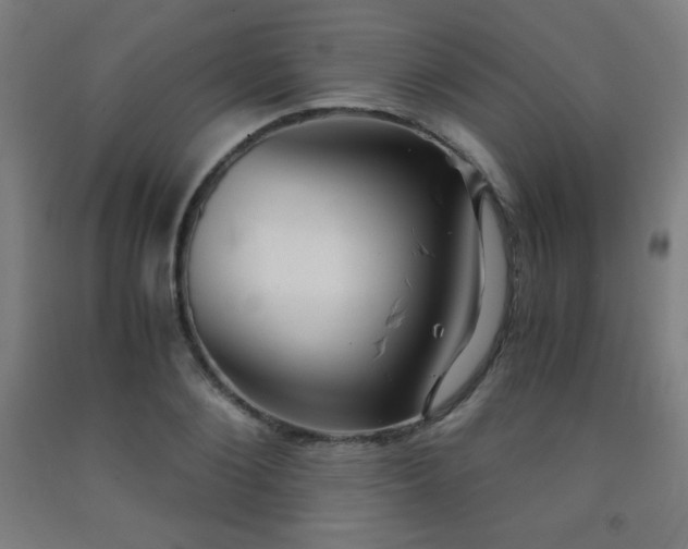 X0000093240884200709261706