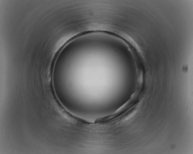 X0000093240885200709261706