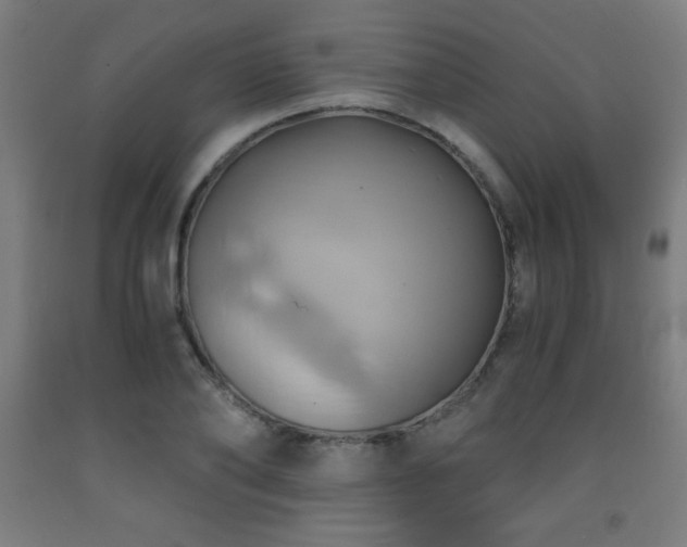 X0000093240886200709261706