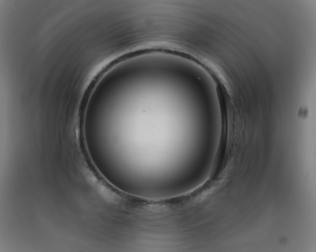 X0000093240888200709261706