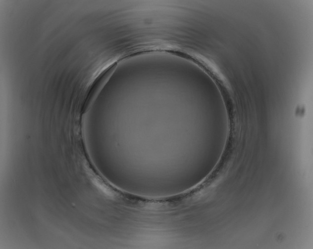 X0000093240889200709261706