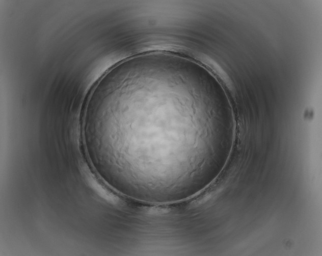 X0000093240890200709261706