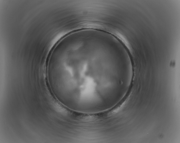 X0000093240891200709261706