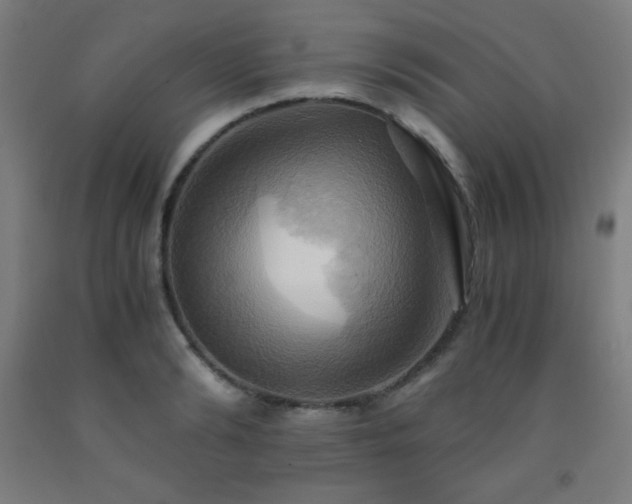 X0000093240894200709261706