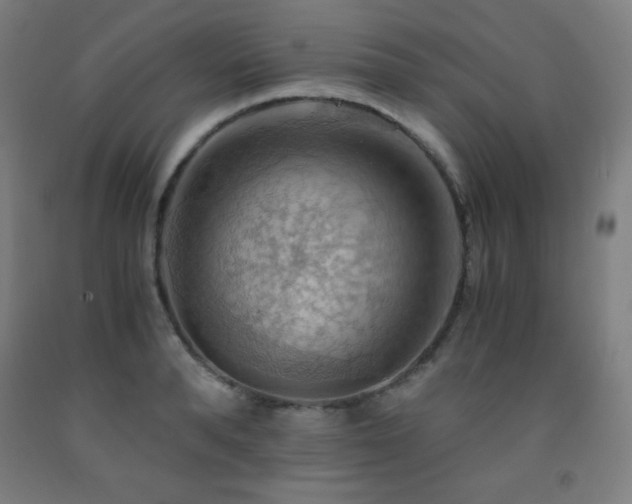 X0000093240896200709261706