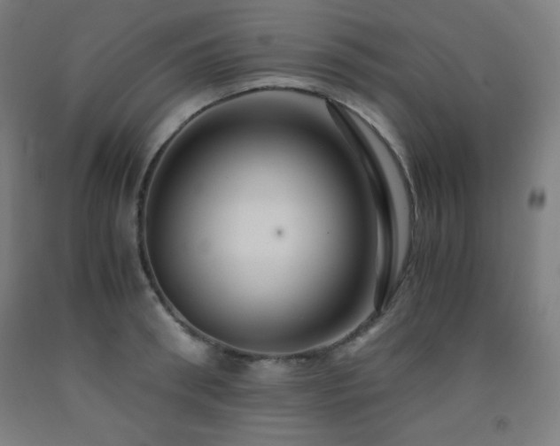 X0000093240898200709261706