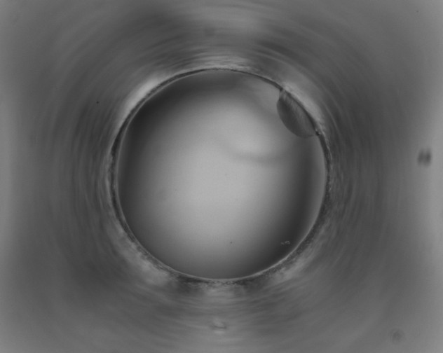 X0000093240899200709261706