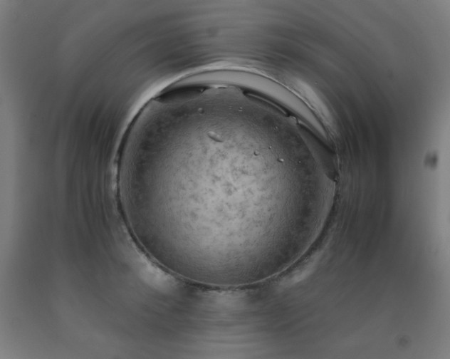X0000093240900200709261706