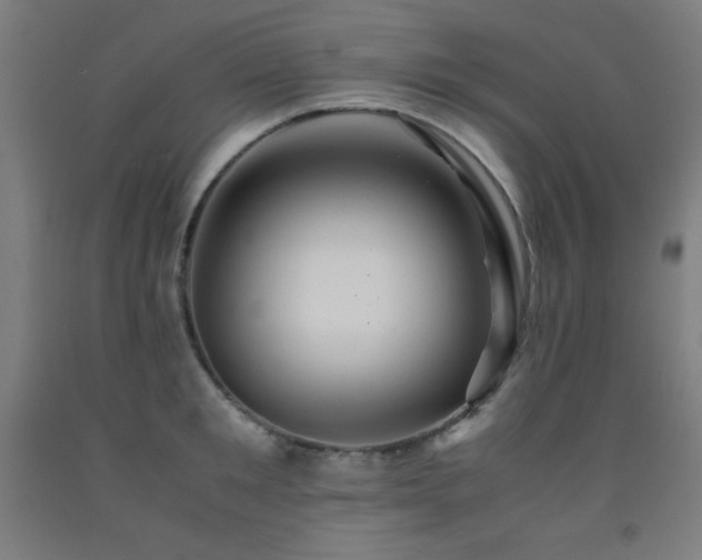 X0000093240901200709261706