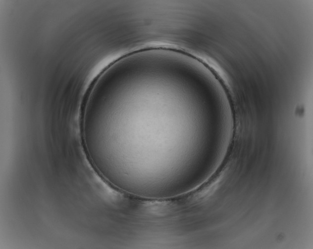 X0000093240902200709261706