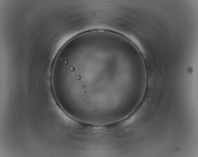 X0000093240903200709261706