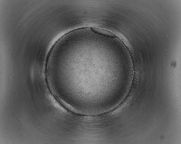 X0000093240904200709261706