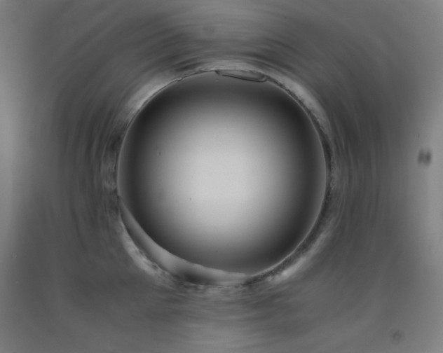 X0000093240905200709261706