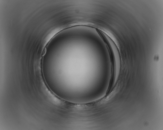 X0000093240906200709261706