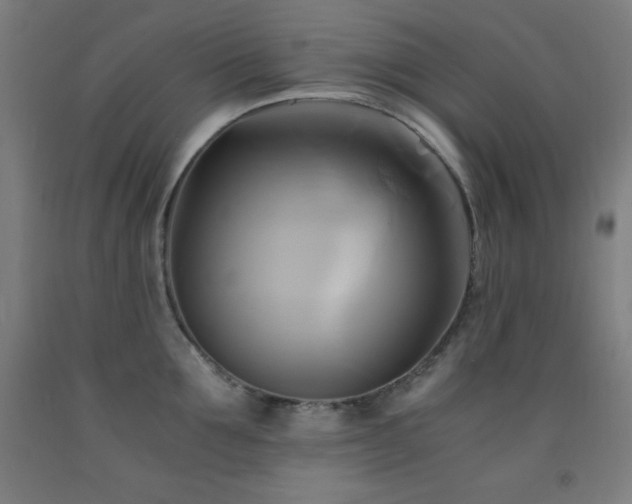 X0000093240907200709261706