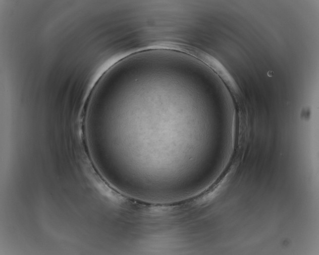 X0000093240908200709261706