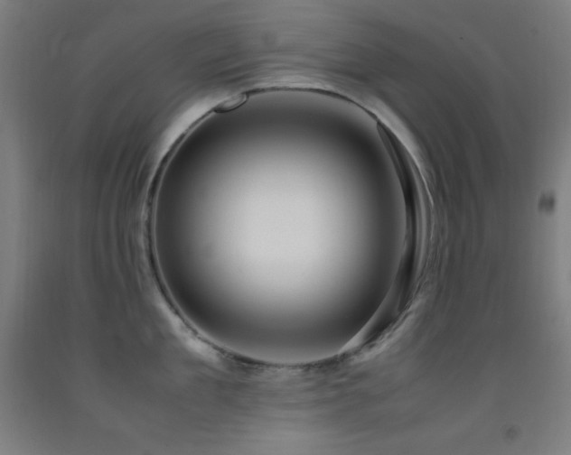 X0000093240909200709261706