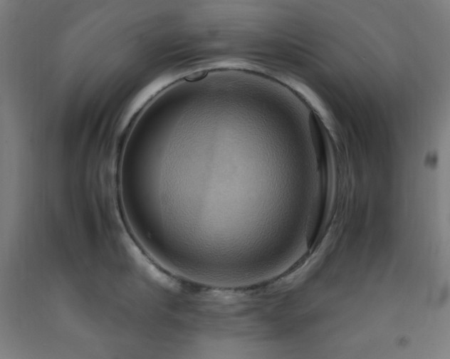 X0000093240910200709261706