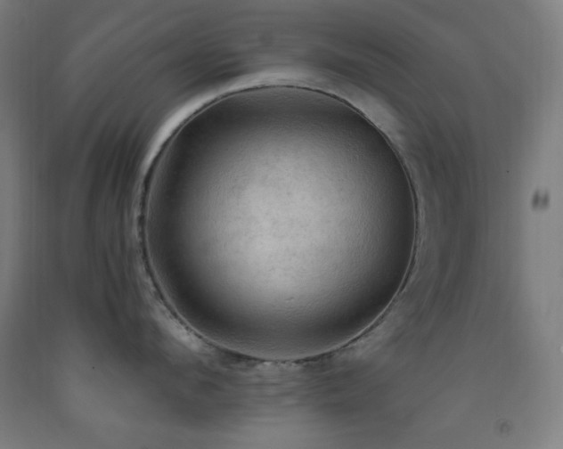 X0000093240912200709261706