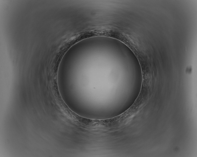 X0000093240913200709261705