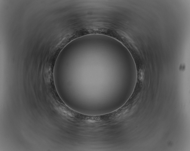 X0000093240915200709261705