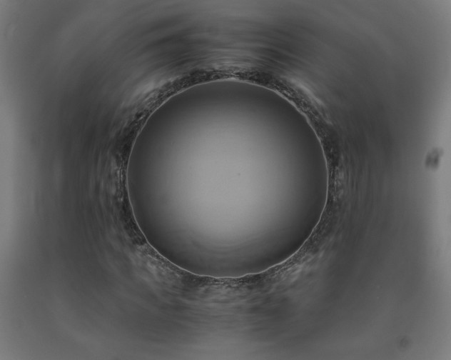 X0000093240917200709261705