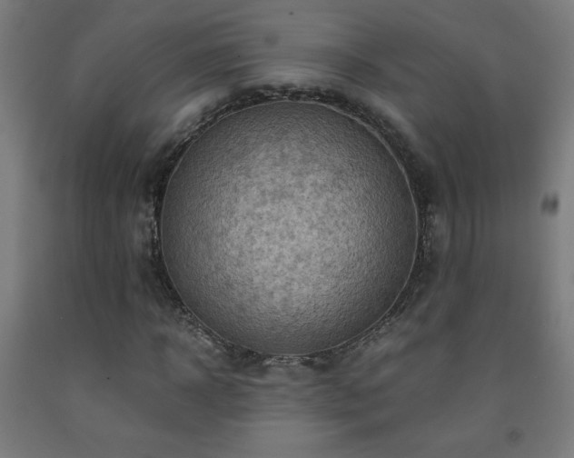 X0000093240918200709261705