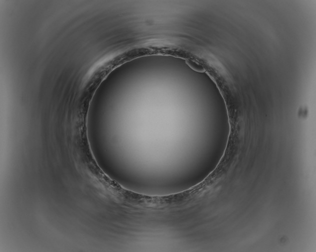 X0000093240920200709261705
