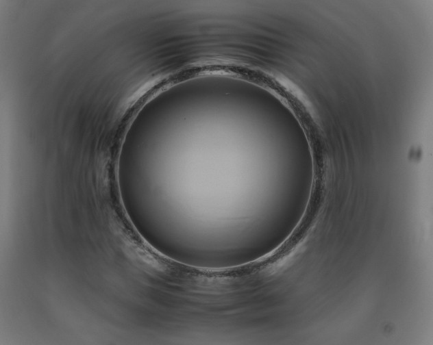 X0000093240921200709261705