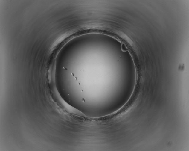 X0000093240922200709261705