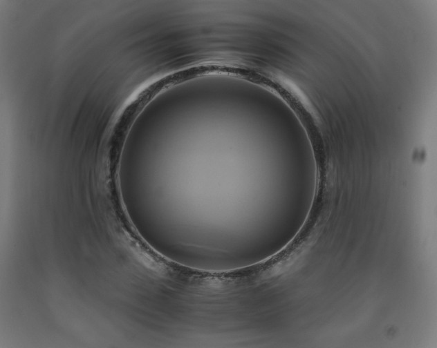 X0000093240923200709261705