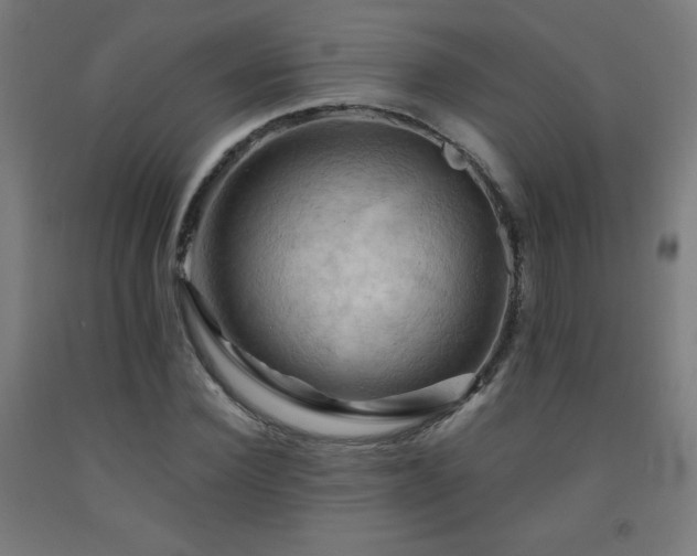 X0000093240924200709261705