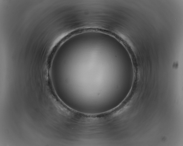 X0000093240925200709261705