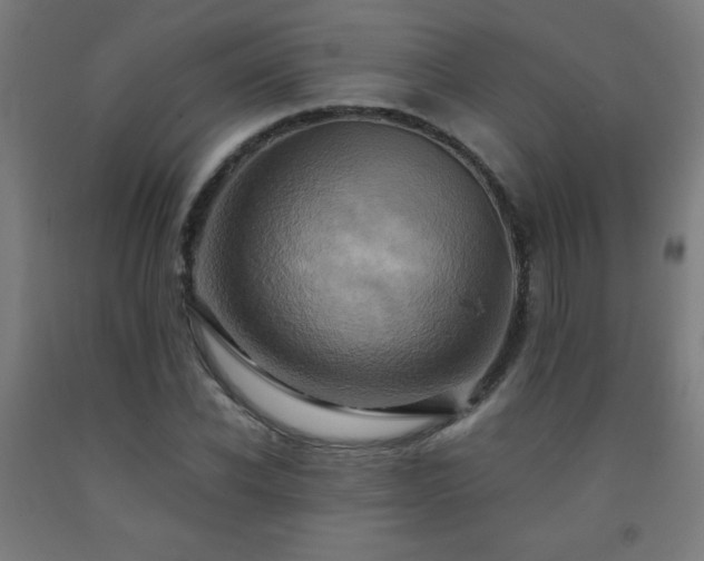 X0000093240926200709261705