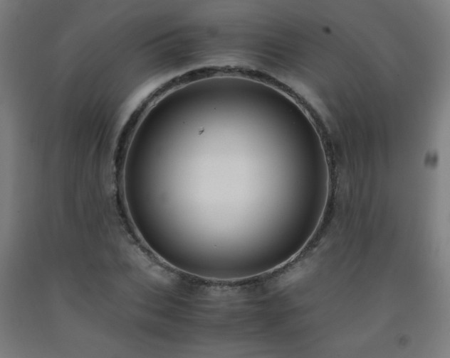 X0000093240927200709261705