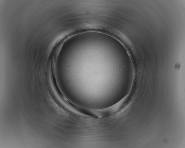 X0000093240930200709261705