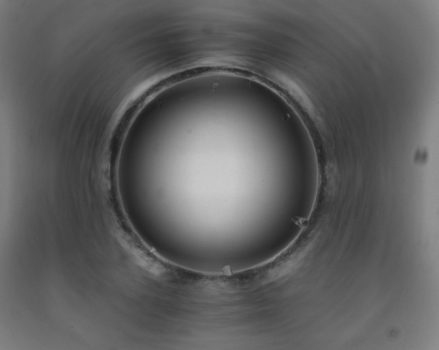 X0000093240931200709261705