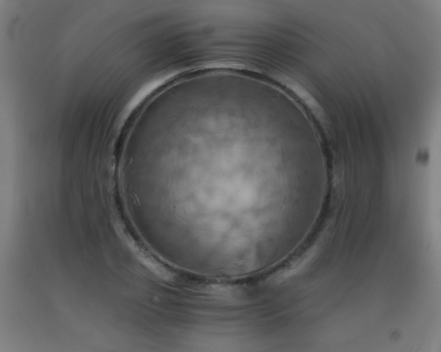 X0000093240933200709261705