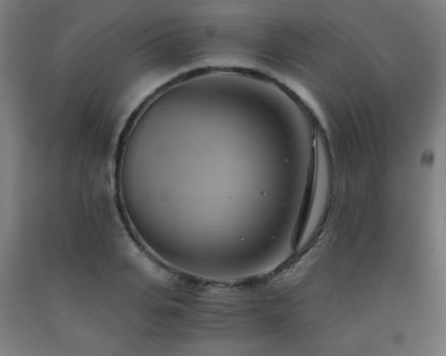 X0000093240935200709261706