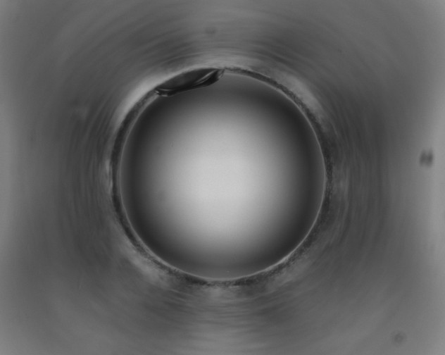 X0000093240936200709261706