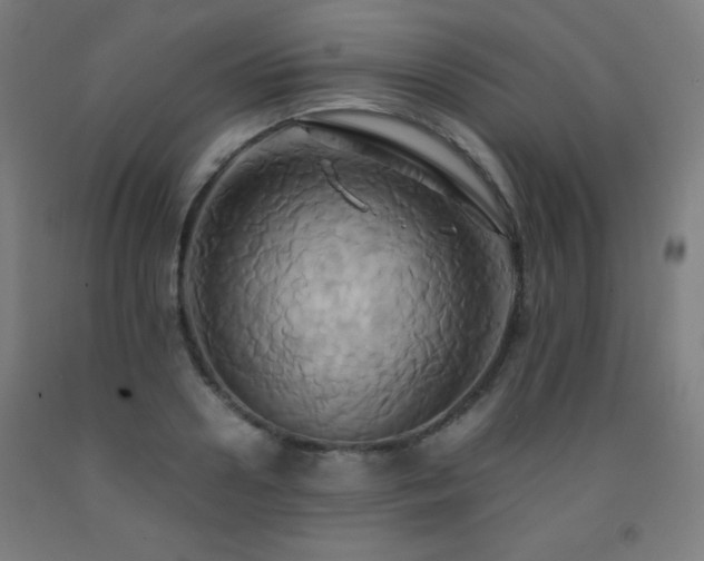 X0000093240938200709261706