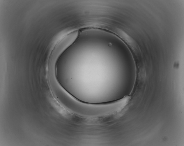 X0000093240940200709261706