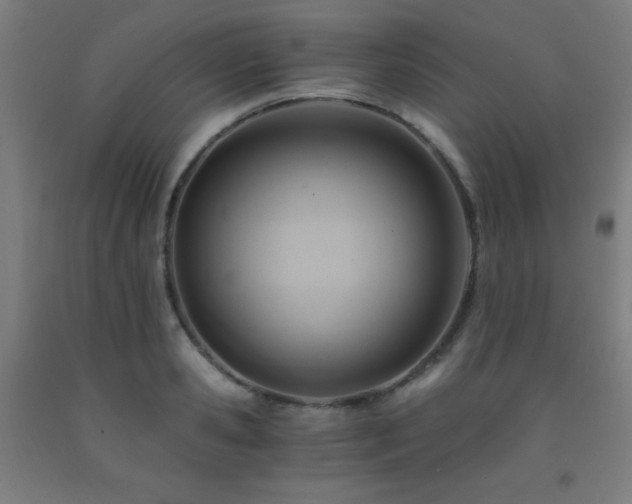 X0000093240941200709261706